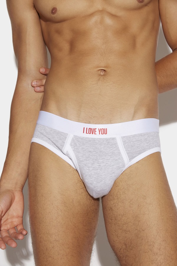 Valentine\'s Day Brief FANTASY