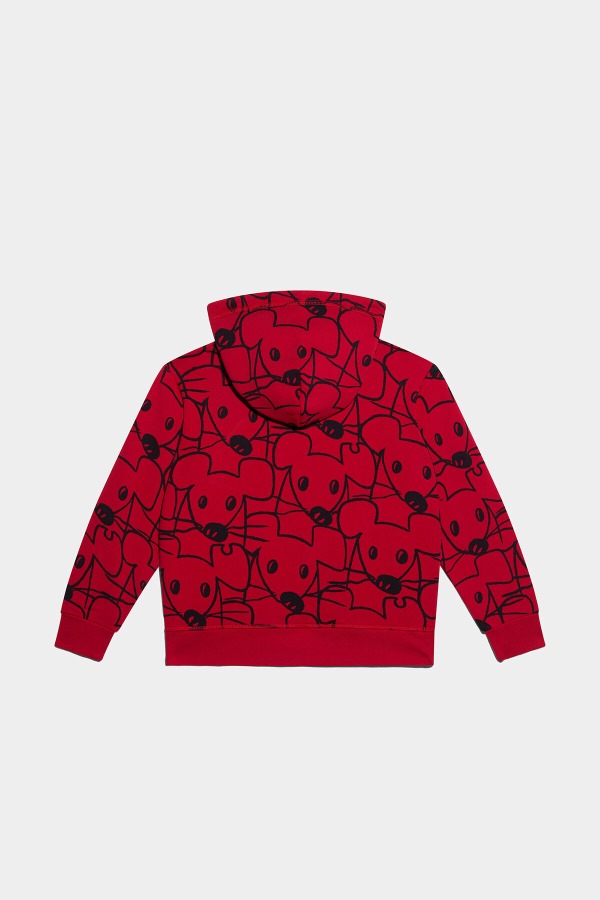 DS2 Kids Hoodie