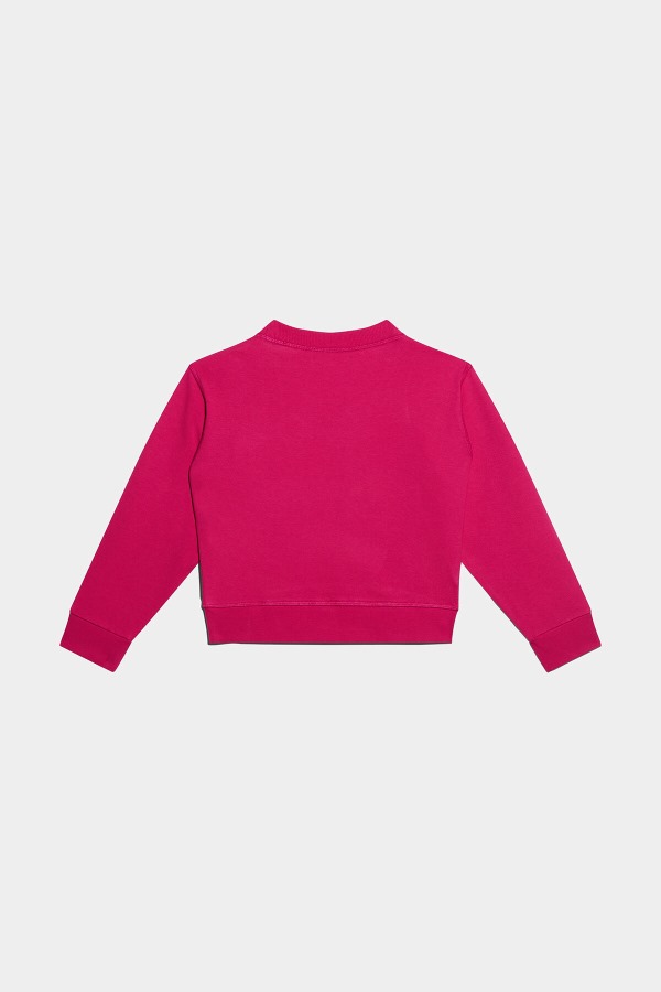 DS2 Kids Sweatshirt
